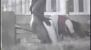 Το λανθάνον μικρό έφηβο ρουφάει τεράστιο κόκορα