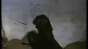 Ο Skank fucks black schlong