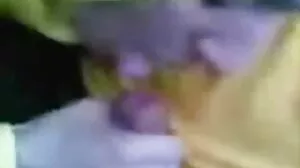 Ασιατικός υγρός σκληροπυρηνικός πρωκτός
