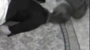 Μωρό μου με σόλο γροθιά